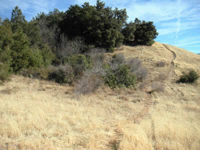 Image Number Nineteen