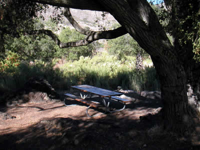 Image Number Six