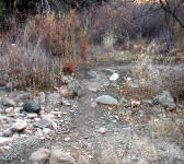 SCZ003 Two creek crossings
