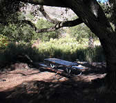 SCZ006 Nineteen Oaks
