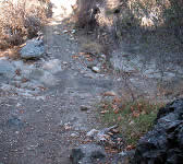 SCZ007 Stream crossing