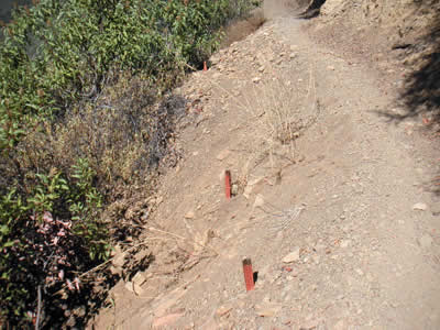 Image Number Sixteen