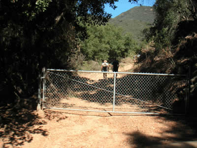 Image Number Five