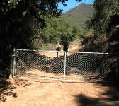 SYT005 Metal Gate
