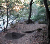 SYT009 Path to creek on left