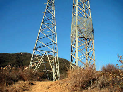 Image Number Ten