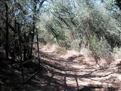 Image Number Nine