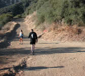 SRT004 Edison Catwalk junction