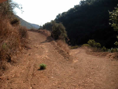 Image Number Seventeen