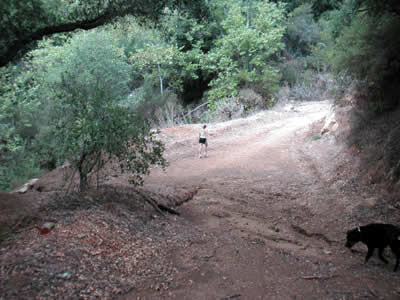 Image Number Twenty Six