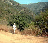 ED004 Bluff at top of climb