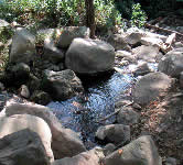 ED005 Cross stream