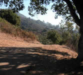 OP001 Trail next to road