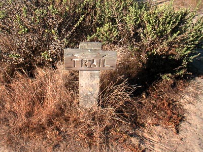 Image Number Three