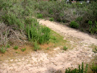 Image Number Five