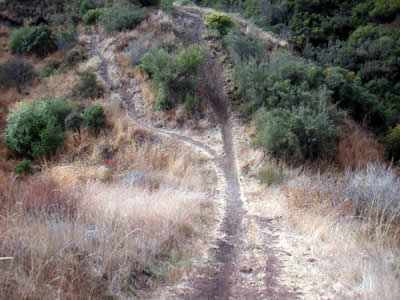 Image Number Six