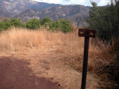 Image Number Seven