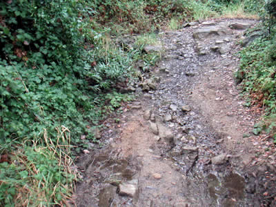 Image Number Nine