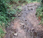 SNY009 Seasonal stream
