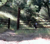 TEQ003 End of camp