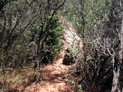 Image Number Nine