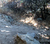 TPT001 Trail junction