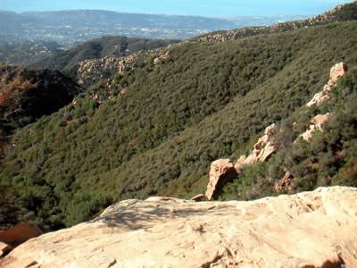 Image Number Nine