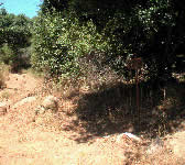 TUN004 Paved road ends