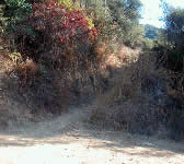 TUN006 Cross dirt road