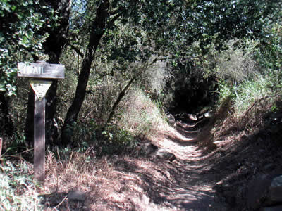Image Number Seven