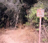 BVT004 Junction with dirt road
