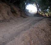 SYT007 San Ysidro Trail junction